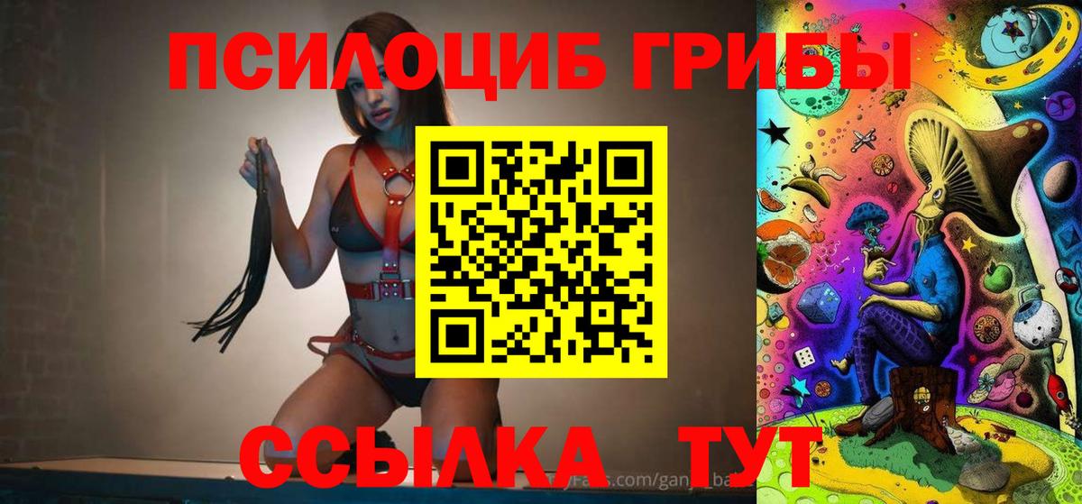 купить  сайты  Вход с VPN  Галлюциногенные грибы ЛСД  Прохладный  Галлюциногенные грибы мицелий 