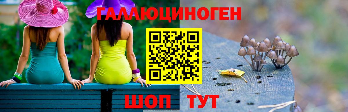 Галлюциногенные грибы прущие грибы Прохладный