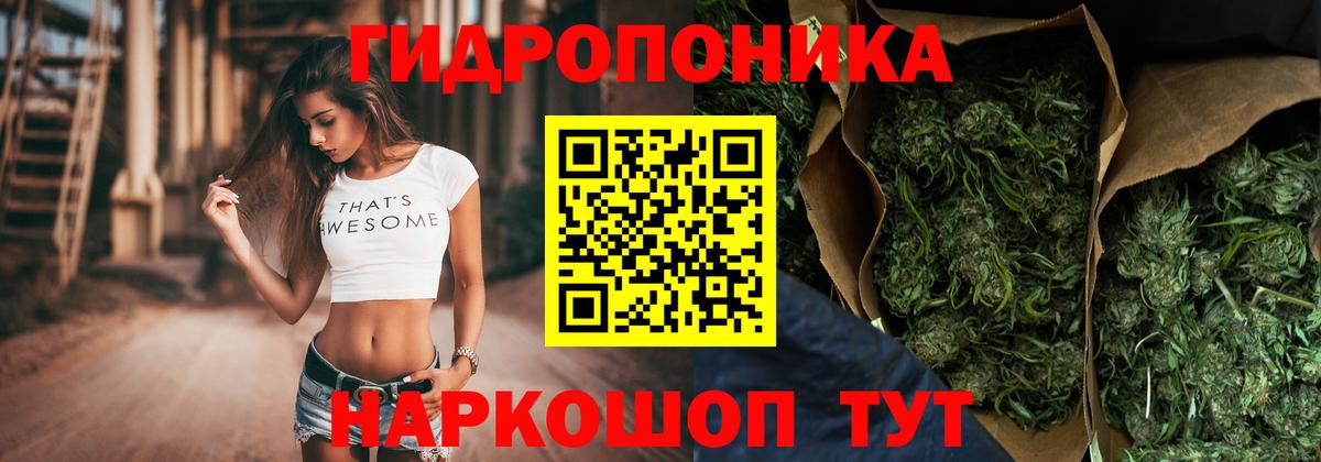 Марихуана семена Прохладный